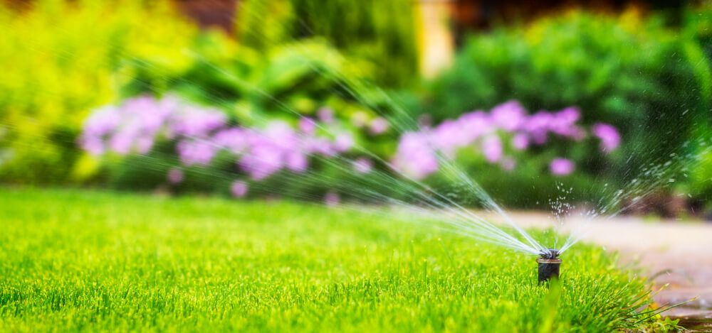 https://www.moeplumbing.com/images/blog/sprinkler-watering-green-lawn.jpg